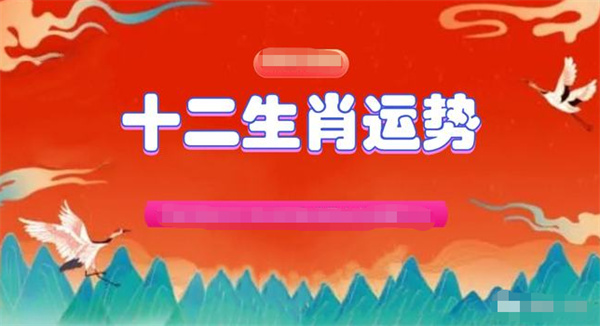 澳门一肖一特一码一中%，精准解析与策略应用