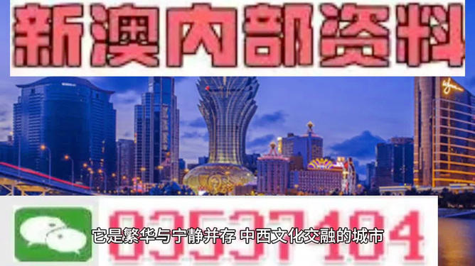 新奥2025年免费资料大全，精选解析、解释与落实的全面指南