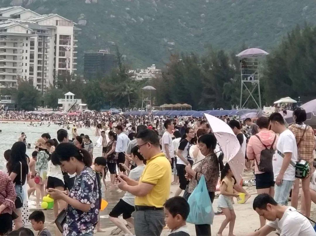 探索香港，免费资源大全的全面释义与落实