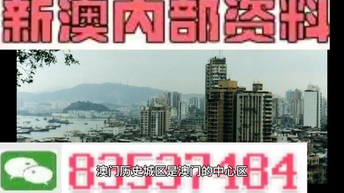 澳门全年资料免费精准大全，精选解析与落实